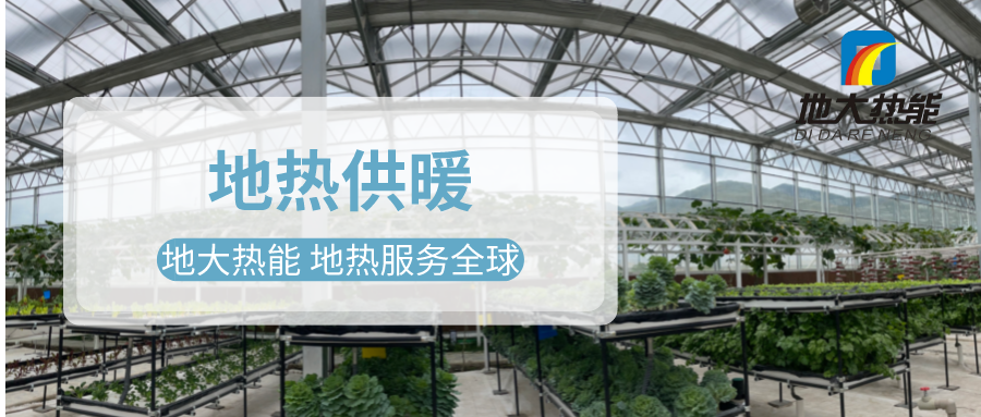 發揮地熱資源優勢，地熱農業實現花卉產業特色發展 | 地大熱能 地熱服務全球